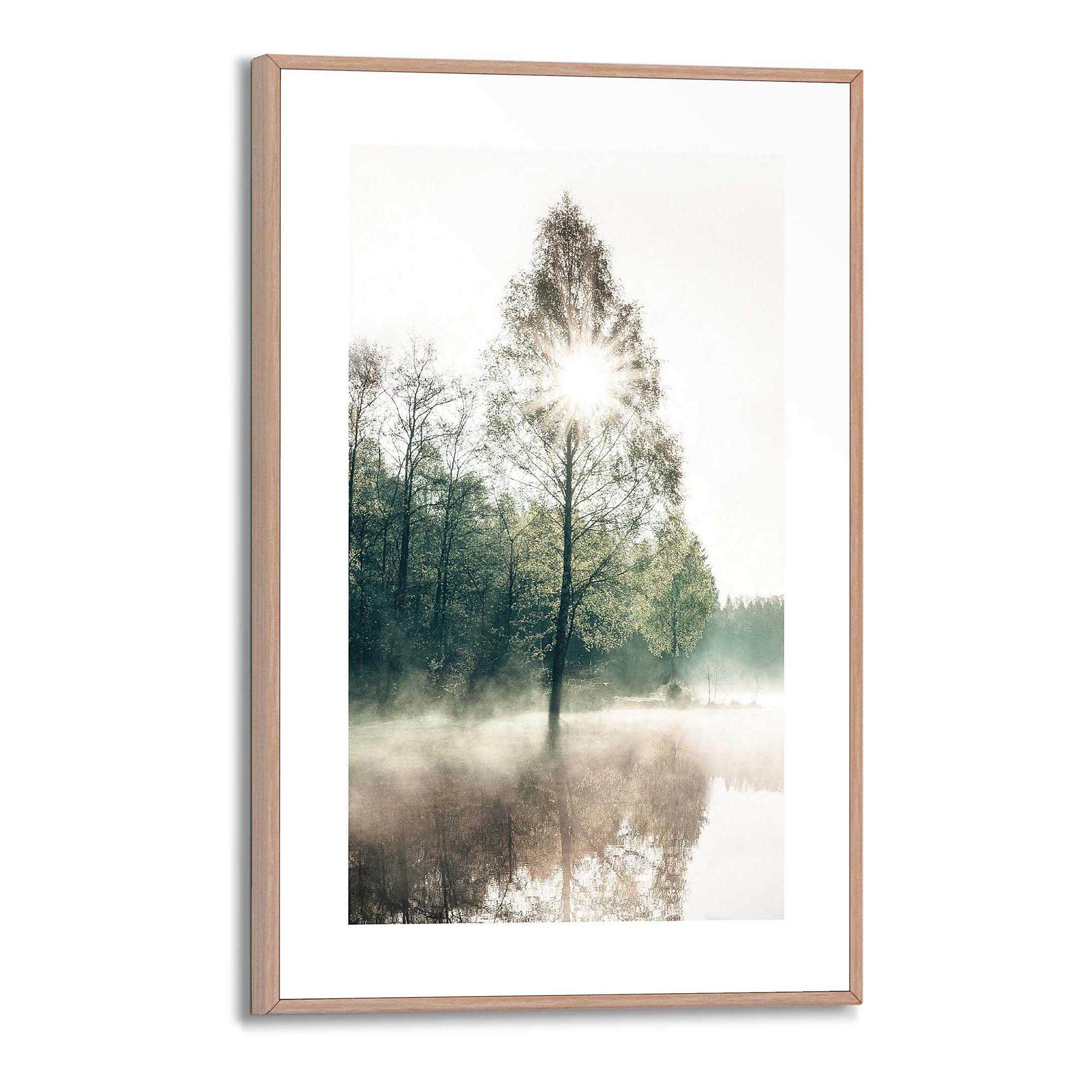 Art print Sun through the trees MDF 0