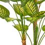 Artificial plant Dieffenbachia Type B polyethylene 1