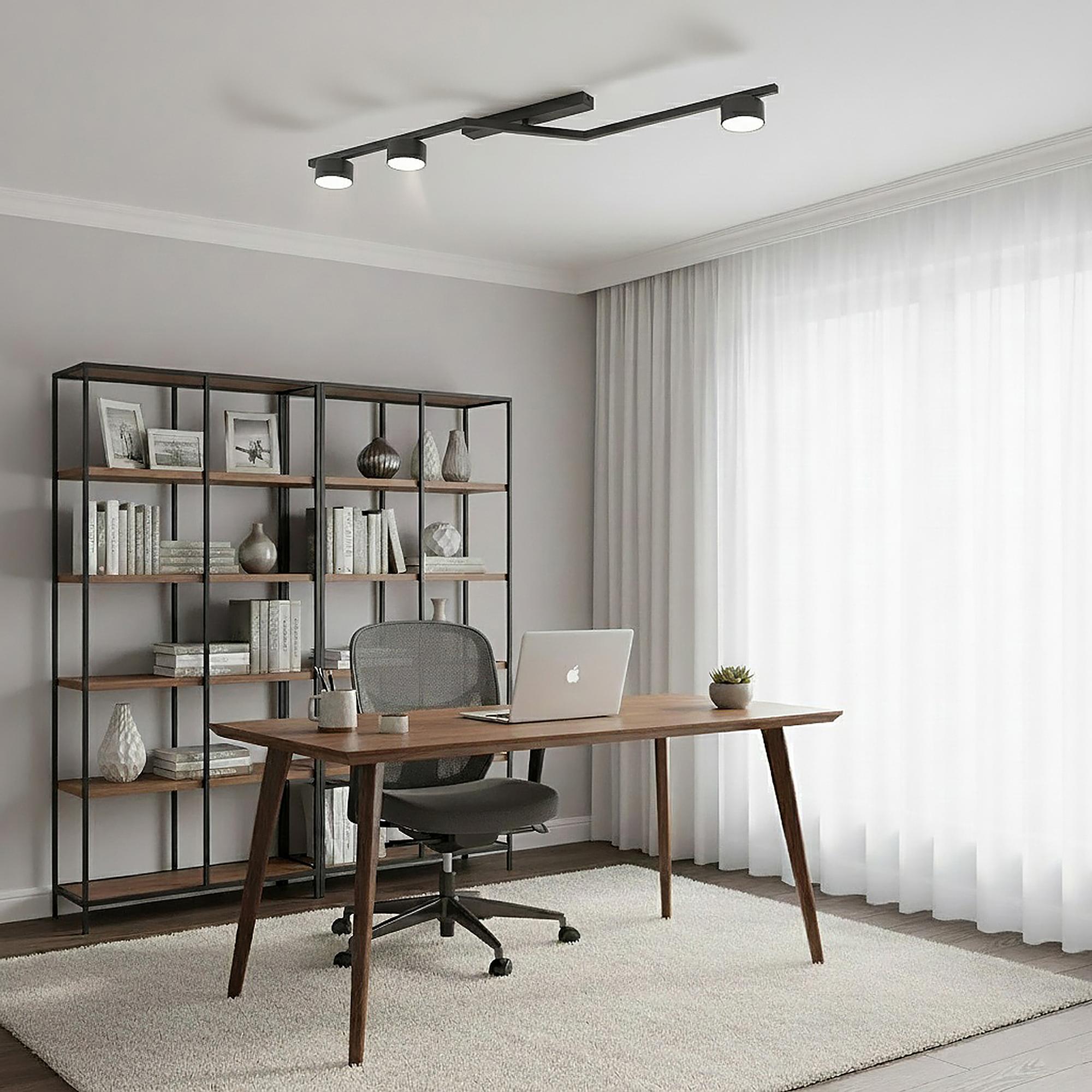Ceiling Lamp Skan Steel Black 2