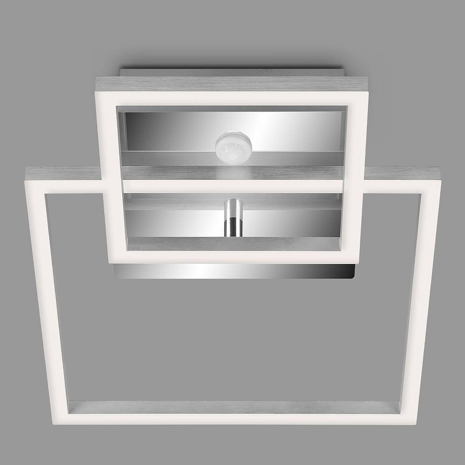Deckenleuchte Frame II Polycarbonat / Eisen 1-flammig 3