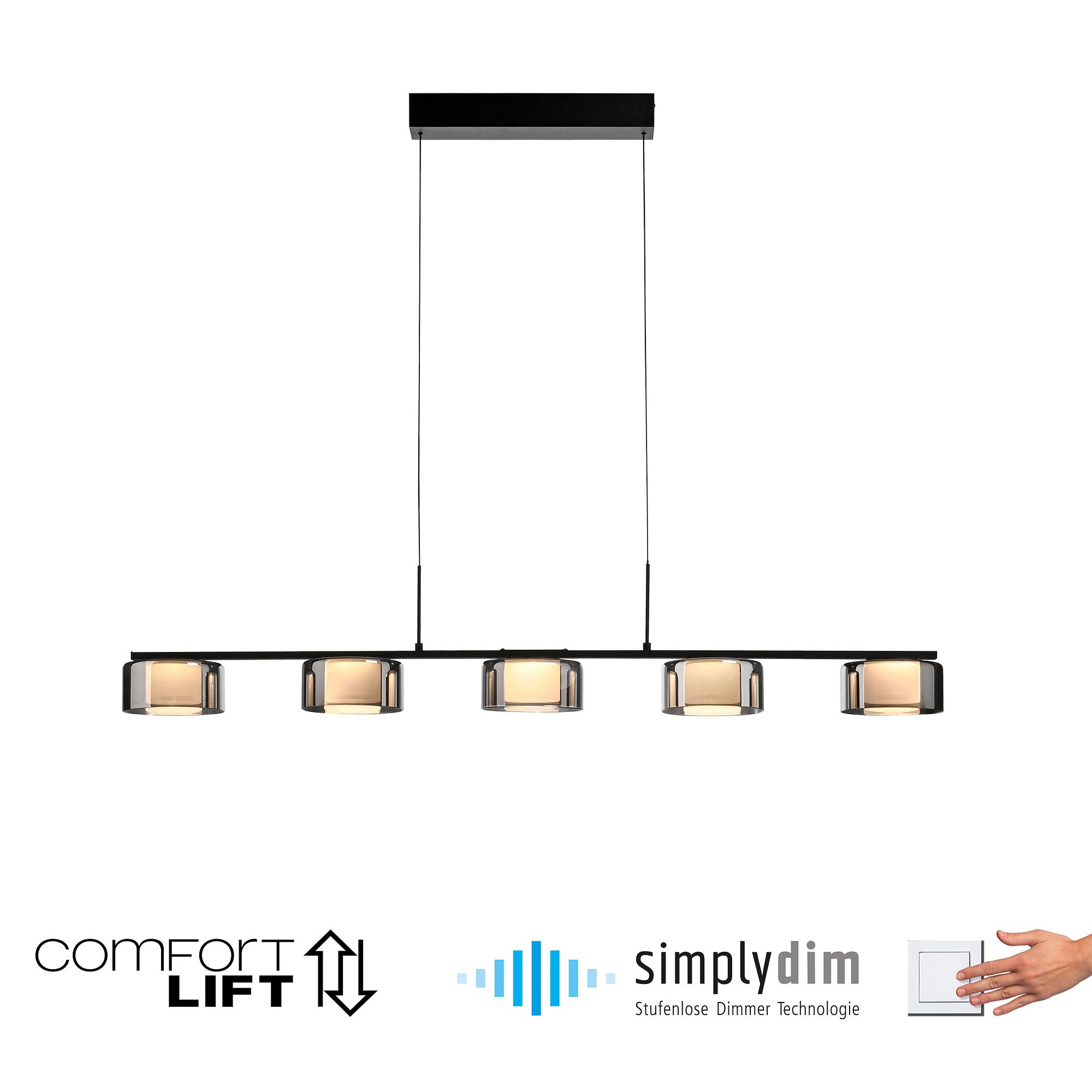 LED-Pendelleuchte Rika Typ B Klarglas / Eisen Schwarz 3