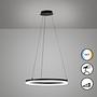 LED-Pendelleuchte Sirko Typ C Eisen Schwarz 1-flammig 2