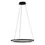 LED-Pendelleuchte Sirko Typ C Eisen Schwarz 1-flammig 1