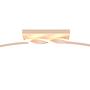 LED-Deckenleuchte Ginko Eisen / Silikon 1-flammig Beige 4