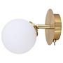 Bosken Cast Iron Wall Lamp 1-Light Frosted Glass Brass 4