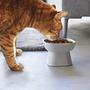 Tower Feeding Bowl Ceramic White 2