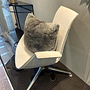 Walter Knoll Schalensessel FK 6729 Kunststoff Weiß 2