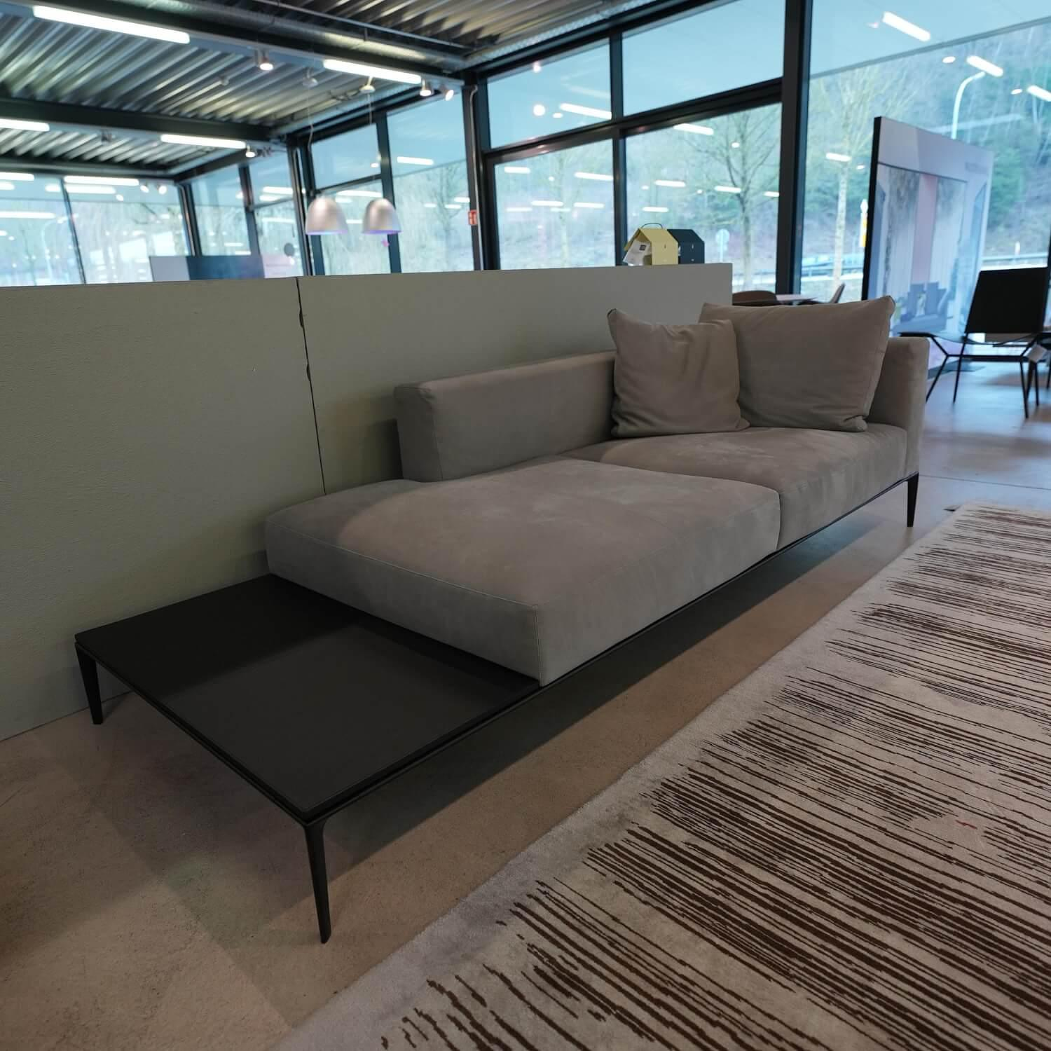 Walter Knoll Jaan Recamiere Leder Grau 6