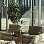 Walter Knoll Fabricius Chair Leather Muscat Brown Set 2 6