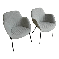 Walter Knoll Sheru Armlehnstuhl Platin Grau Stoff 7