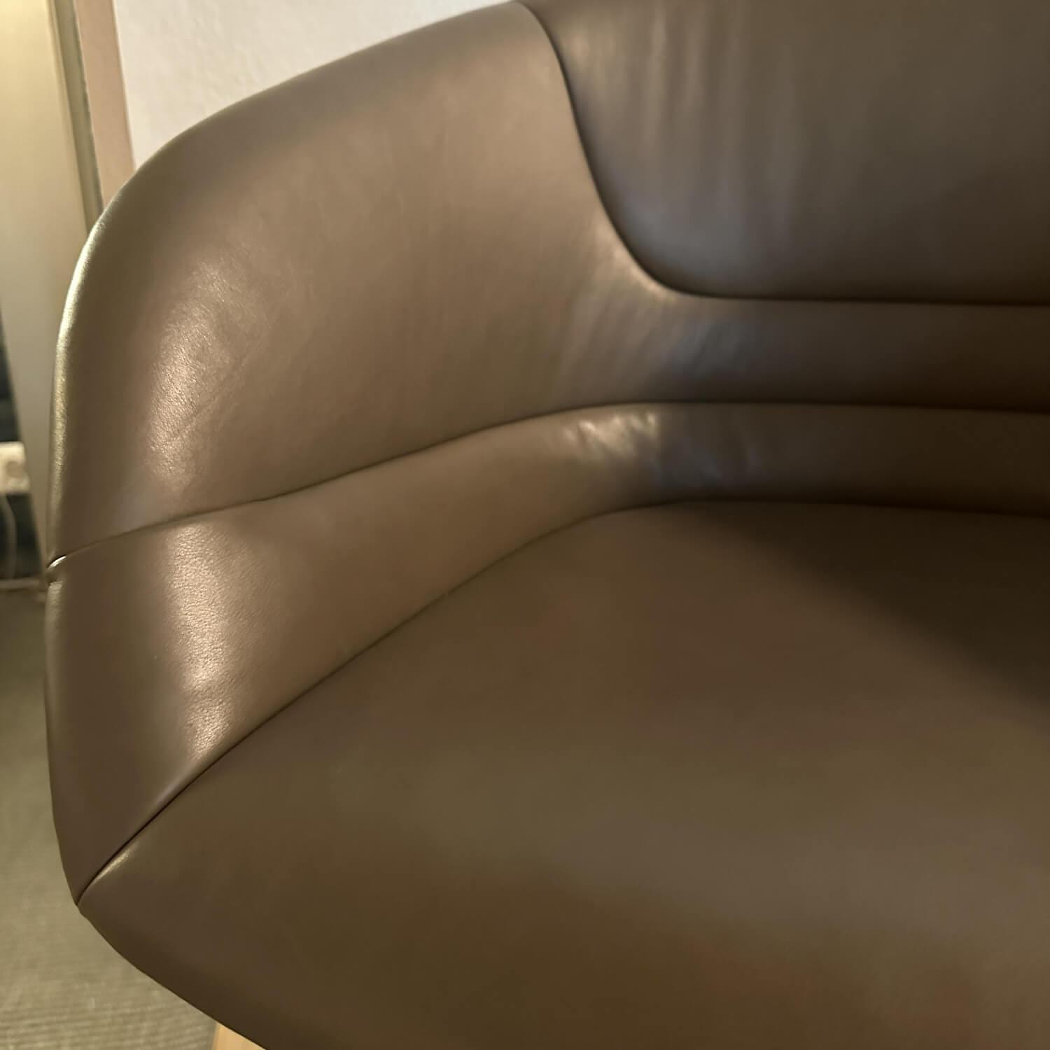 Walter Knoll Schalensessel Kyo 1342 Leder Khaki Braun Bronze 4
