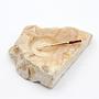 Vintage italienischer Alabaster-Aschenbecher, 1960er/70er 0