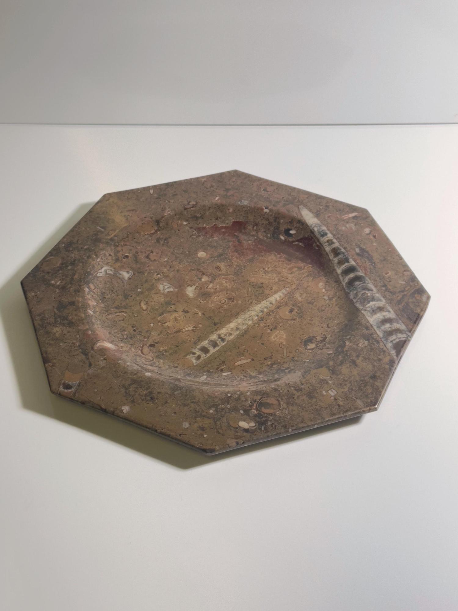 Vintage 2-teiliges Fossilienstein-Set mit Orthoceras 2