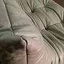 Togo Sofa 2-Sitzer Leder Grau 3