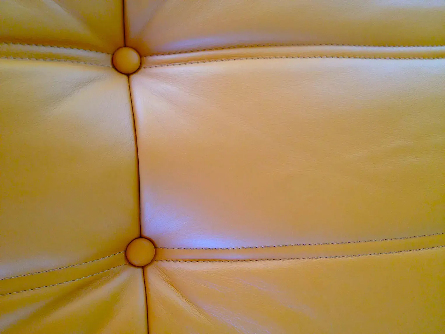 Togo Sofa 2-Sitzer Leder Beige 4
