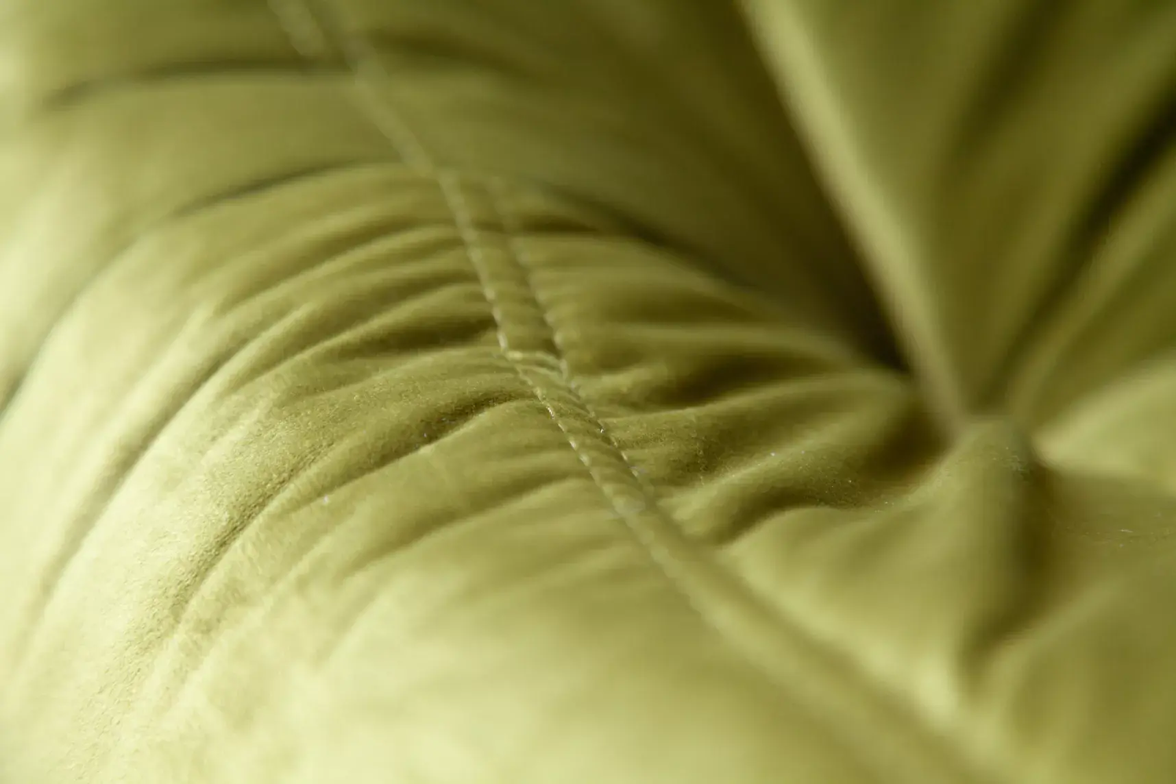 Togo Armchair Velvet Olive Green 9