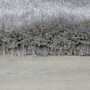 Pearl Carpet Synthetic Fiber Grey 160 x 230 cm 3
