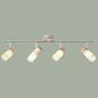 4-flammiger Deckenstrahler Eisen Silber 1