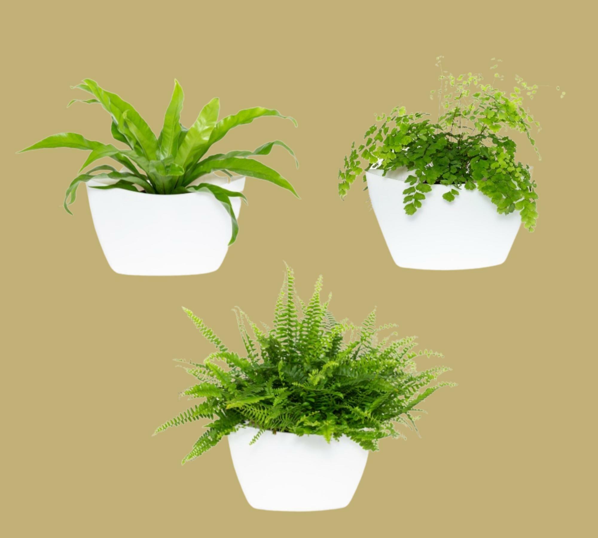 3x Wall Flower Pot Set White Vertical Garden 100% Recycled 4