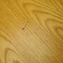 Vintage table ash wood brown 1960s 6