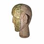 Jackson bust Mango wood Natural 5