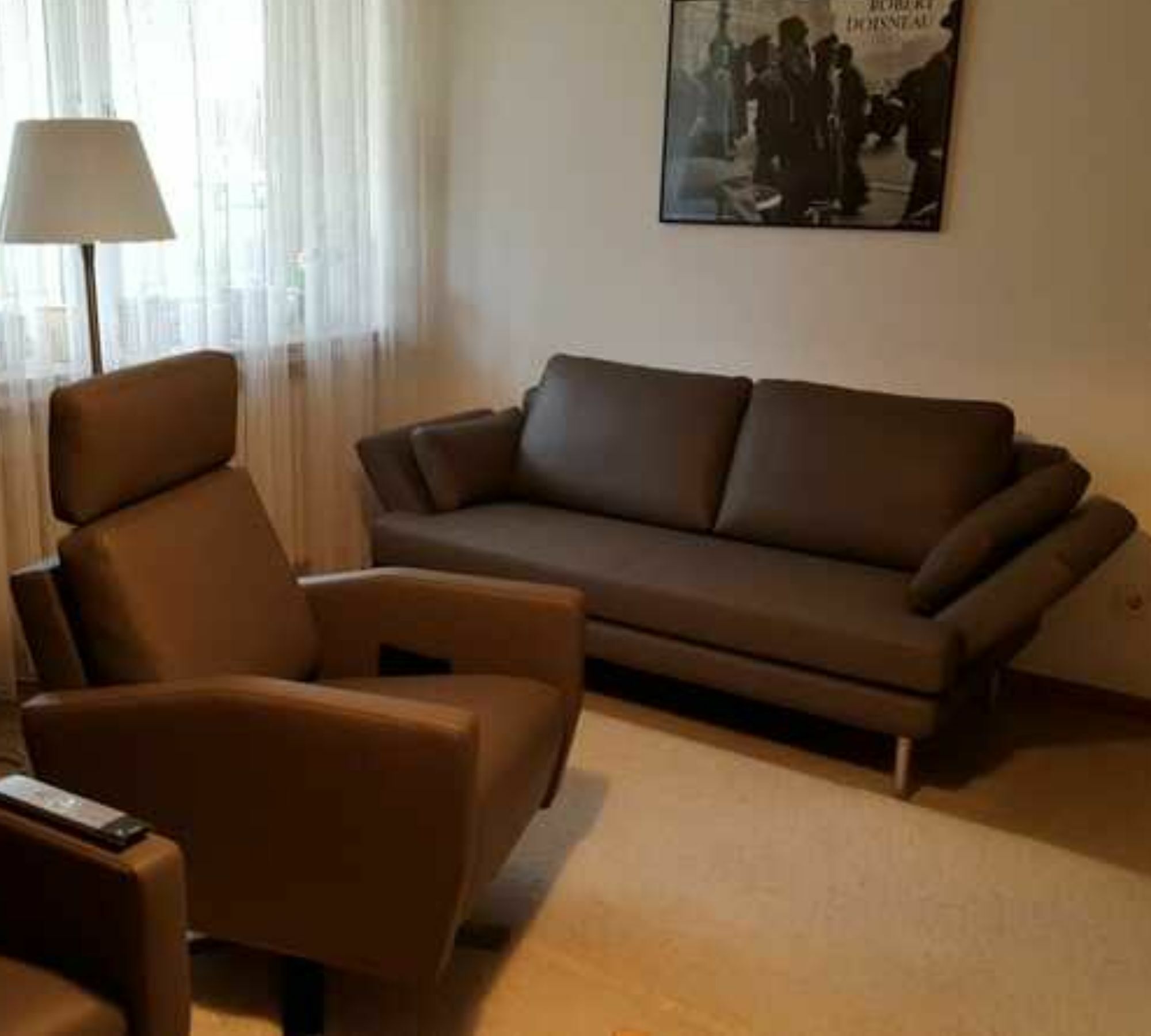 Liv Sofa 2-Sitzer Leder Chrom Braun 1