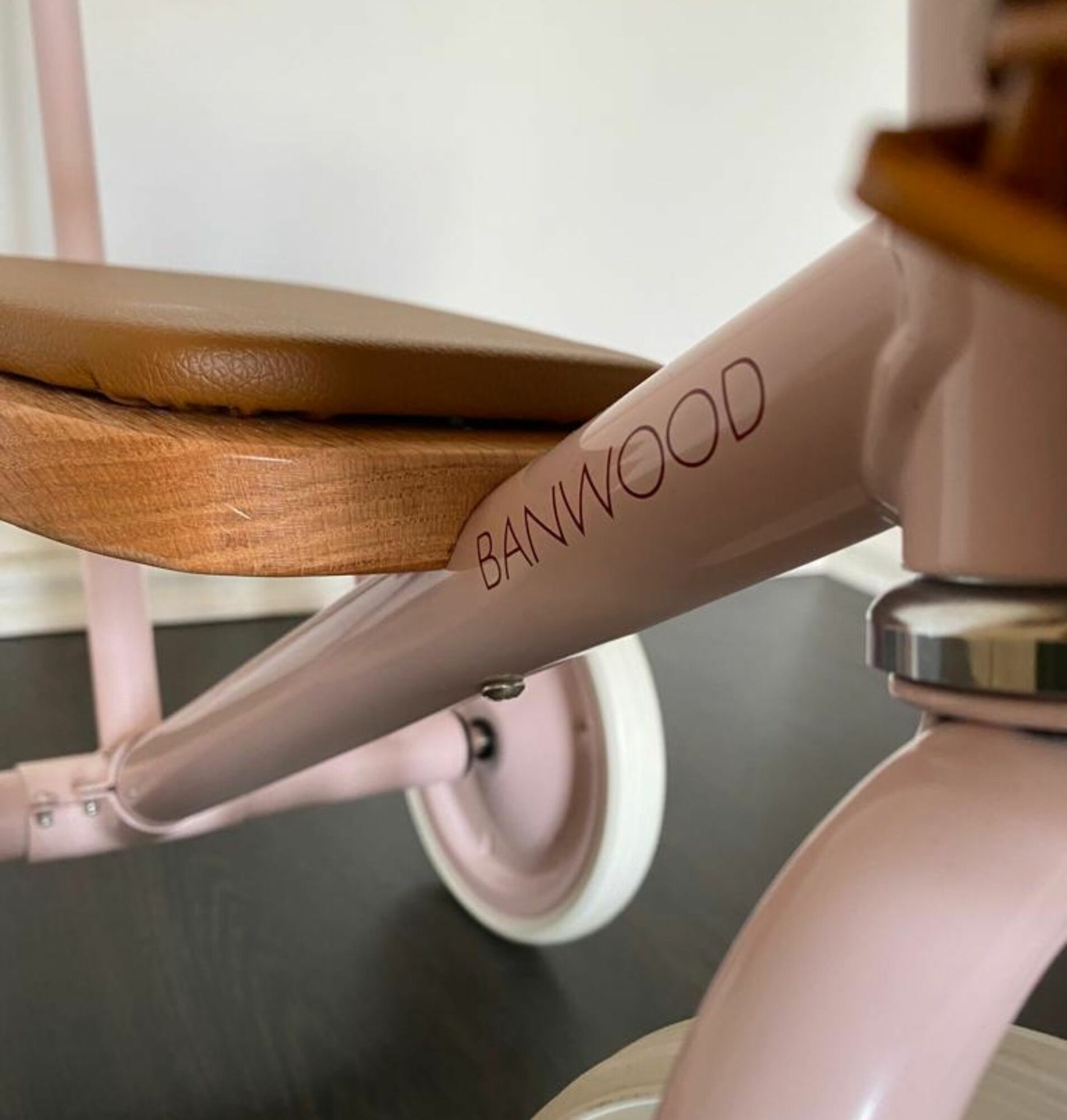 Banwood Dreirad mit Schiebestange 3