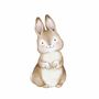 Little Rabbit Art Print with Frame Multicolored 1