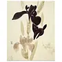 Hana No Ma I Picture Linen Natural Color 0