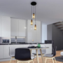 Barbito Pendant Lamp Aluminum Oak Black 2