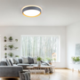 Emilia LED Ceiling Light Polycarbonate Grey 1