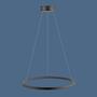 Ring-shaped 1-flame LED pendant light 2
