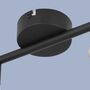 2-flame ceiling light metal black 4