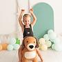 Dog Plush Cotton Brown 0