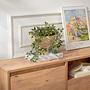 Vanguard Lowboard Brown 4
