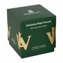 Handgegossene Sojawachs Duftkerze Daintree Rain Forest 225g 1