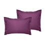 2x Pillowcase Ranforce Cotton Purple 0