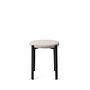 Obu Hocker Raccoon  2
