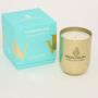 Handgegossene Sojawachs Duftkerze Great Barrier Reef 225g 0