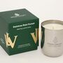 Handgegossene Sojawachs Duftkerze Daintree Rain Forest 450g 0