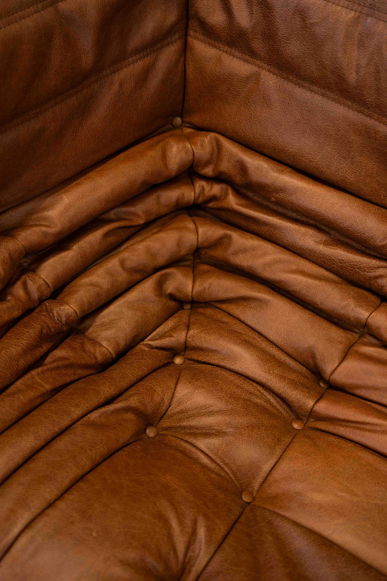 Togo Sofa 2-seater with Armrest Pull-Up Leather Pine Brown 6