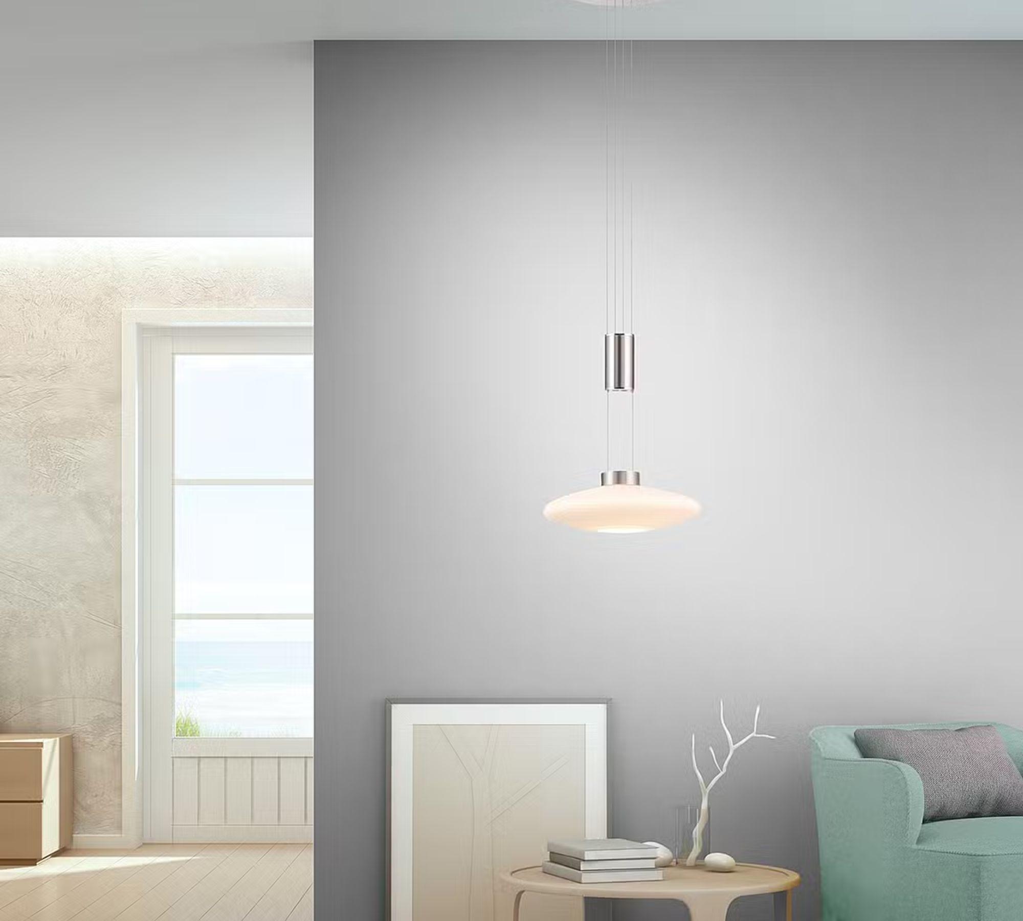 Pendant lamp frosted glass silver 1