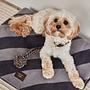 Kaya Dog Blanket Small Polyester Grey 2