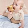 Billy Dino Teether Rubber Brown 1