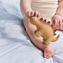 Billy Dino Teether Rubber Brown 3