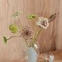 Jali Vase Groß Transparent 3