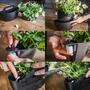 3x Wall planter with self-watering Grey 2