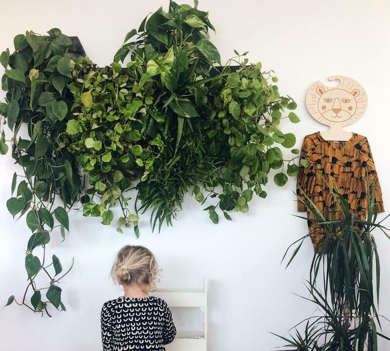 3x Wall planter with self-watering Grey 3