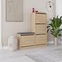 Dude shoe cabinet wood veneer 1