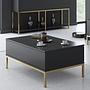 Lord Couchtisch Holzfurnier Anthrazit Gold 1